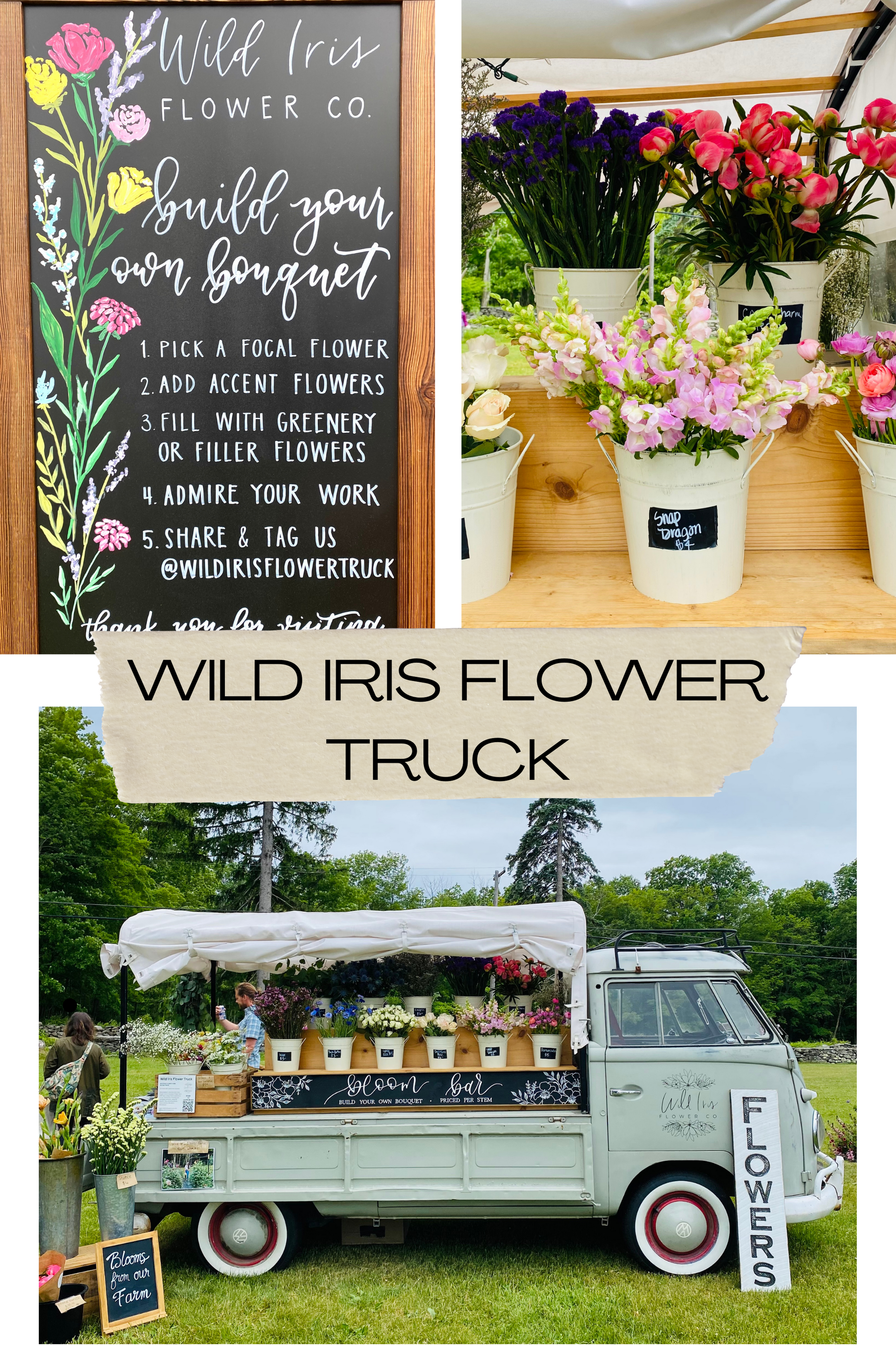 Wild Iris Flower Truck from Fine Day Fair Home & Garden Show