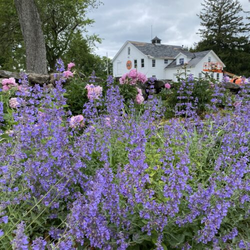 My Favorite Finds from the Fine Day Fair Home & Garden Show