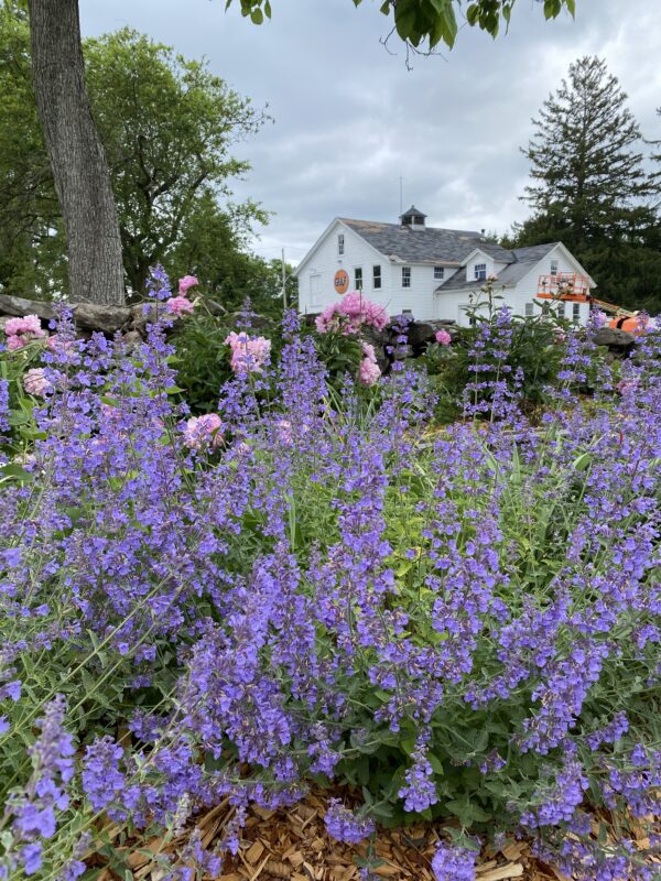 My Favorite Finds from the Fine Day Fair Home & Garden Show